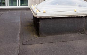 disadvantages of South Barrow flat roofs