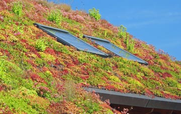 South Barrow living roof systems